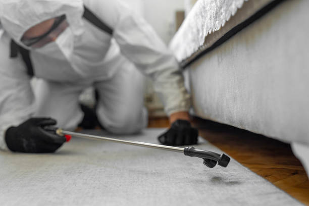 Professional Rodent Control technician working in Fairview, CA