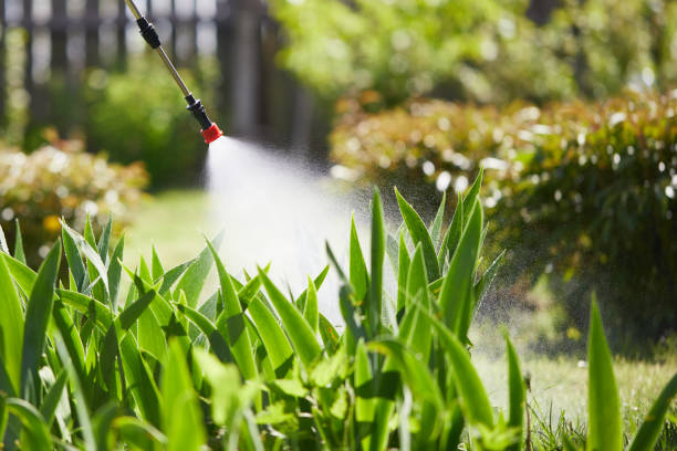 24/7 Emergency Rodent Control experts in Fairview, CA