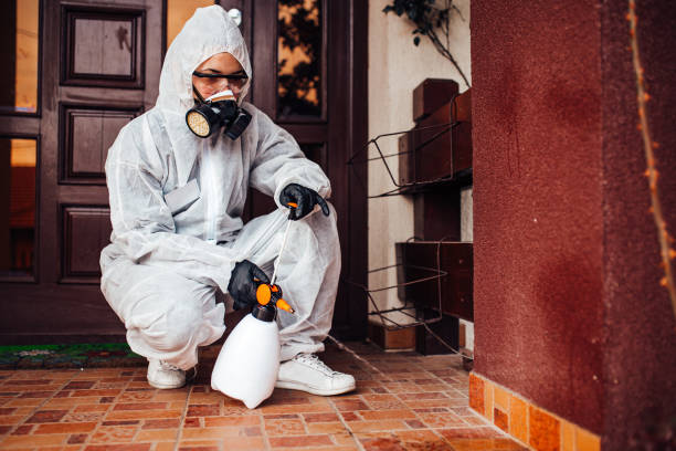 Reliable Rodent Control contractor in Fairview, CA by Nex Pest Control