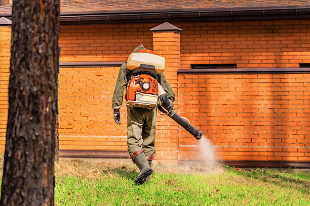 Top rated local Rodent Control specialists in Fairview, CA